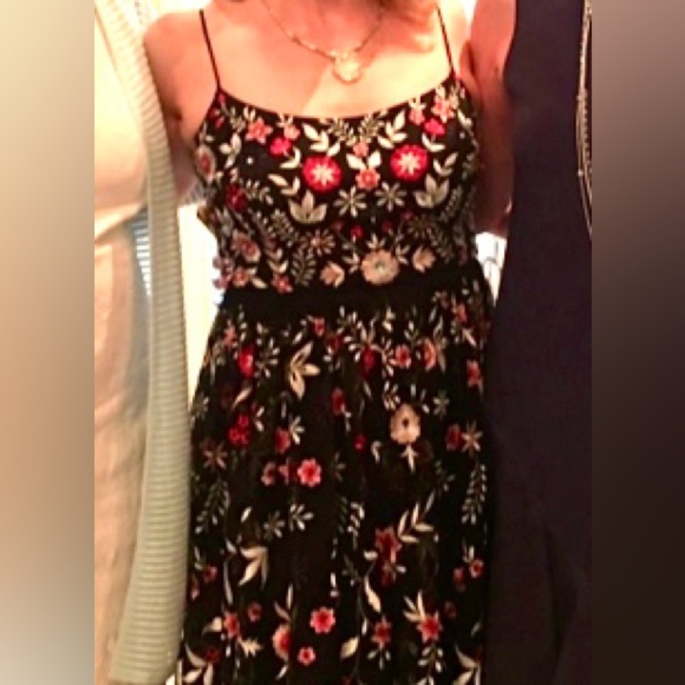 BHLDN cocktail dress, beading & sequins on bodice, embroidery on mesh skirt. - Picture 9 of 9